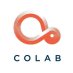 Community Link to Architects and Builders (COLAB)