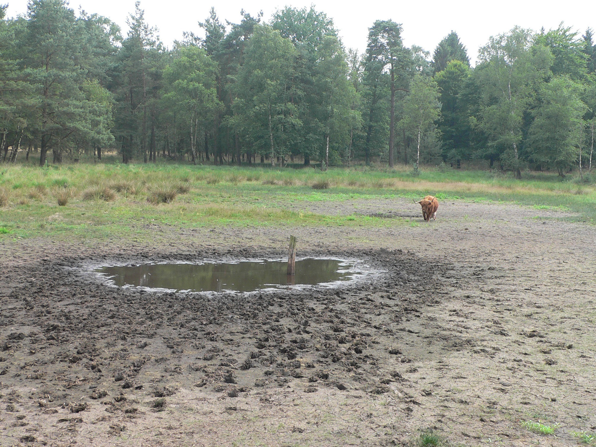 Droogte Natuurmonumenten