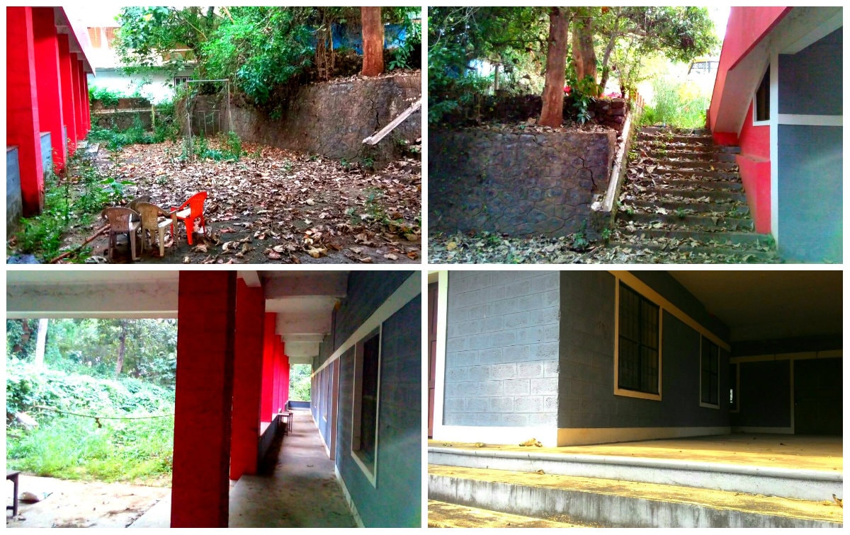 School Collage