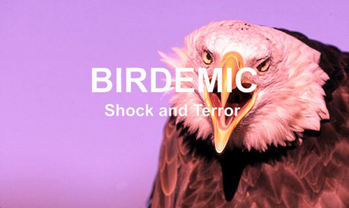 Birdemic: Shock And Terror – An Inspiration?