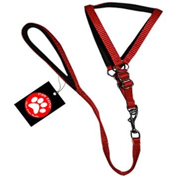 Pawzone Puppy & Kitten Red Body Harness With Leash - 1/2 Inch Price in India