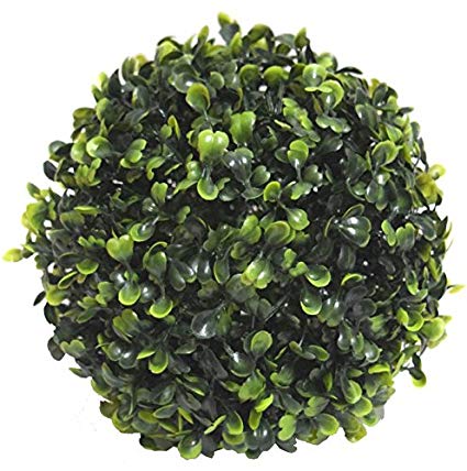 Fourwalls Artificial Topiary (17cm, Green) Price in India