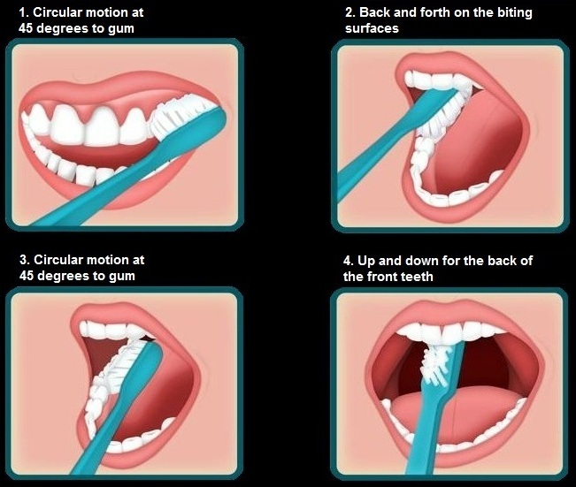 how to brush teeth