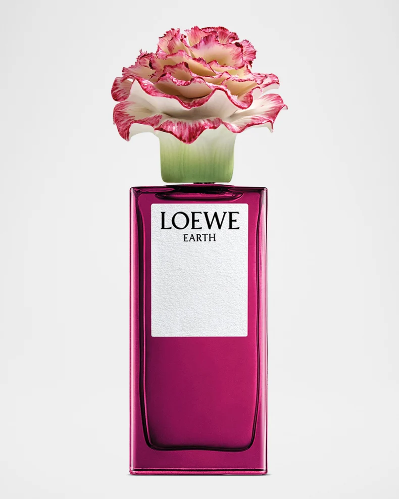 【Maroni♡】 LOEWE LOEWE HEDGEHOG COLLECTION 🦔 Chinese Valentines Day 2024