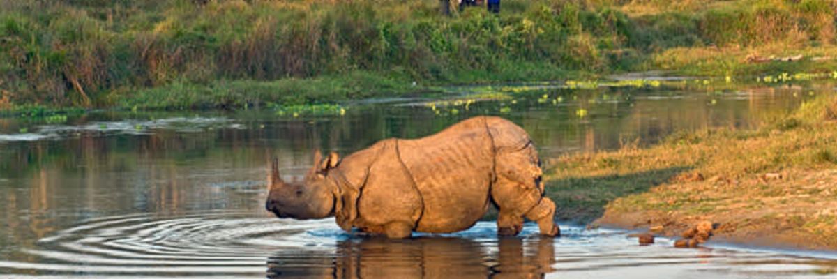 Chitwan