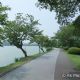 千波公園