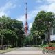 都立芝公園（4号地）