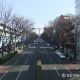表参道
