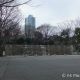 新宿中央公園（水の広場）