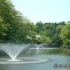 井の頭恩賜公園