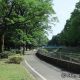 善福寺川緑地