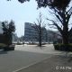上野恩賜公園
