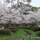 兼六園