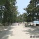 天橋立公園