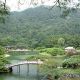 栗林公園