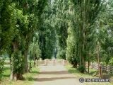 北海道大学