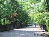 武家屋敷通り
