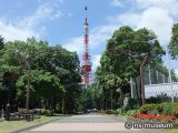 都立芝公園（4号地）