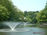 井の頭恩賜公園