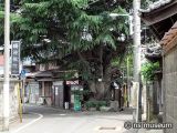 みかどパン店