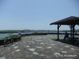 京浜島緑道公園 京浜島緑道公園