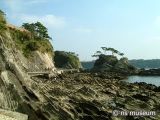 荒崎海岸