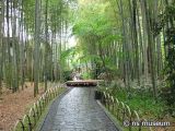 竹林の小径