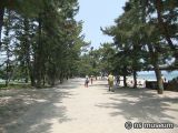 天橋立公園