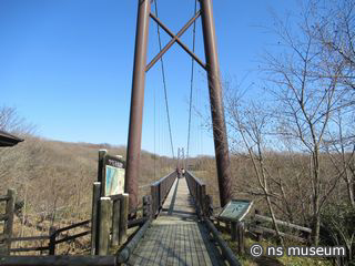 つつじ吊橋