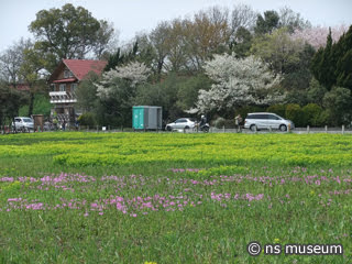 桜草公園