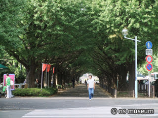 明治神宮外苑いちょう並木