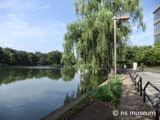 石神井公園