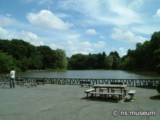 善福寺公園