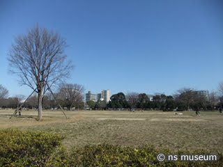 木場公園