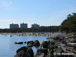海の公園