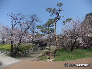 舞鶴城公園