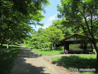 修善寺自然公園
