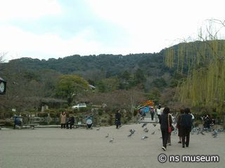 円山公園
