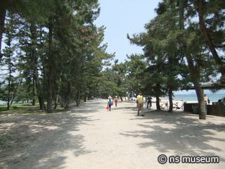 天橋立公園