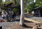 Mangrove Creek Picnic 2