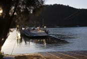 Webbs Creek Ferry