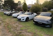 berrima-cars-coffee-7.jpg