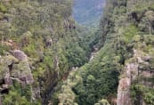 carrington-falls-11.jpeg