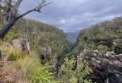carrington-falls-12.jpeg
