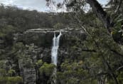 carrington-falls-9.jpeg