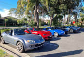 cars.jpeg