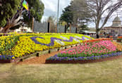 Corbett Gardens
