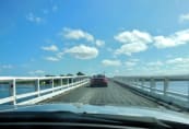 The Bridge - Wallaga Lake