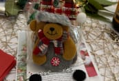 duntryleague-house-xmas-in-july-25-00024.jpg