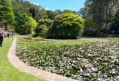 Garden04